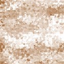 BG12