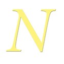 NN