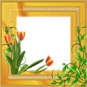 Frame 1a