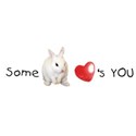 some bunny loves you