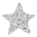 star glitter silver