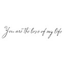 you are love my life
