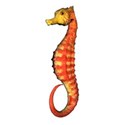 seahorse_aiscu3-5