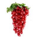 grape cluster 01 copy