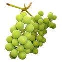 SLcu20grapes