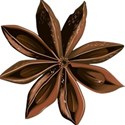 star anise 01