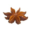 star anise 02