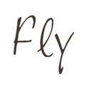 fly