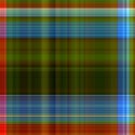 plaid010