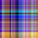 plaid013
