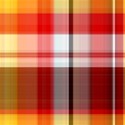 plaid024