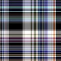 plaid027