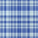 plaid029
