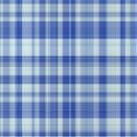 plaid029