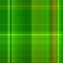 plaid049
