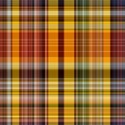 plaid055