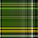 plaid065