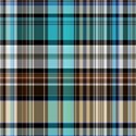 plaid096