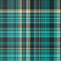 plaid098