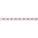 ribbon3