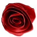 rosered