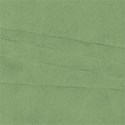 ClaudiaSachs_Paper07