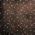bos_gh_paper06