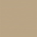 CardboardSooze
