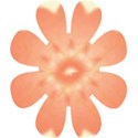 bg63