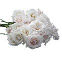 RoseBunch_1