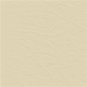Plain_5