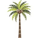 kitc_travel_palmtree