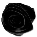 paperflowerblack