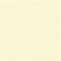 Plain_1