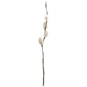 cupussywillow103_8
