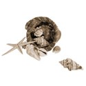 Cushellsbag113_9