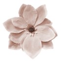 cusilkflower0137_2