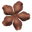 Cusilkflower0196_7