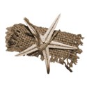 Custarscroll113_14