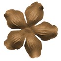 Cusilkflower0296_7