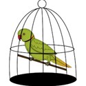 BirdinCage