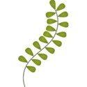 FernLeaf