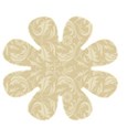 fl24