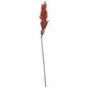 Wheat-3