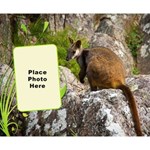 Wallaby Cos Bag Wallaby Cos Bag