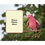 Galah Cos Bag Galah Cos Bag
