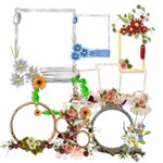 Flower frames