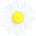 daisy3