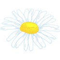 daisy1