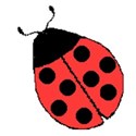 ladybug1